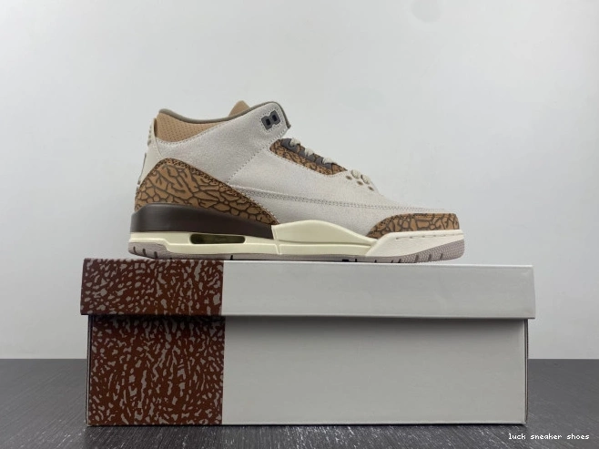 Reps LUCY Palomino 3 Air CT8532-102 Jordan 0816